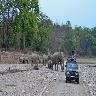 Rajaji National Park